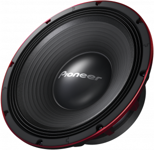 Pioneer TS-W1200PRO