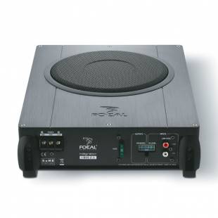 Focal  IBus 2.1