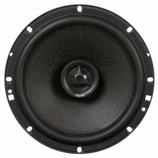 Morel Maximo Coax 6