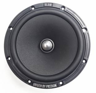 BLAM W165R2